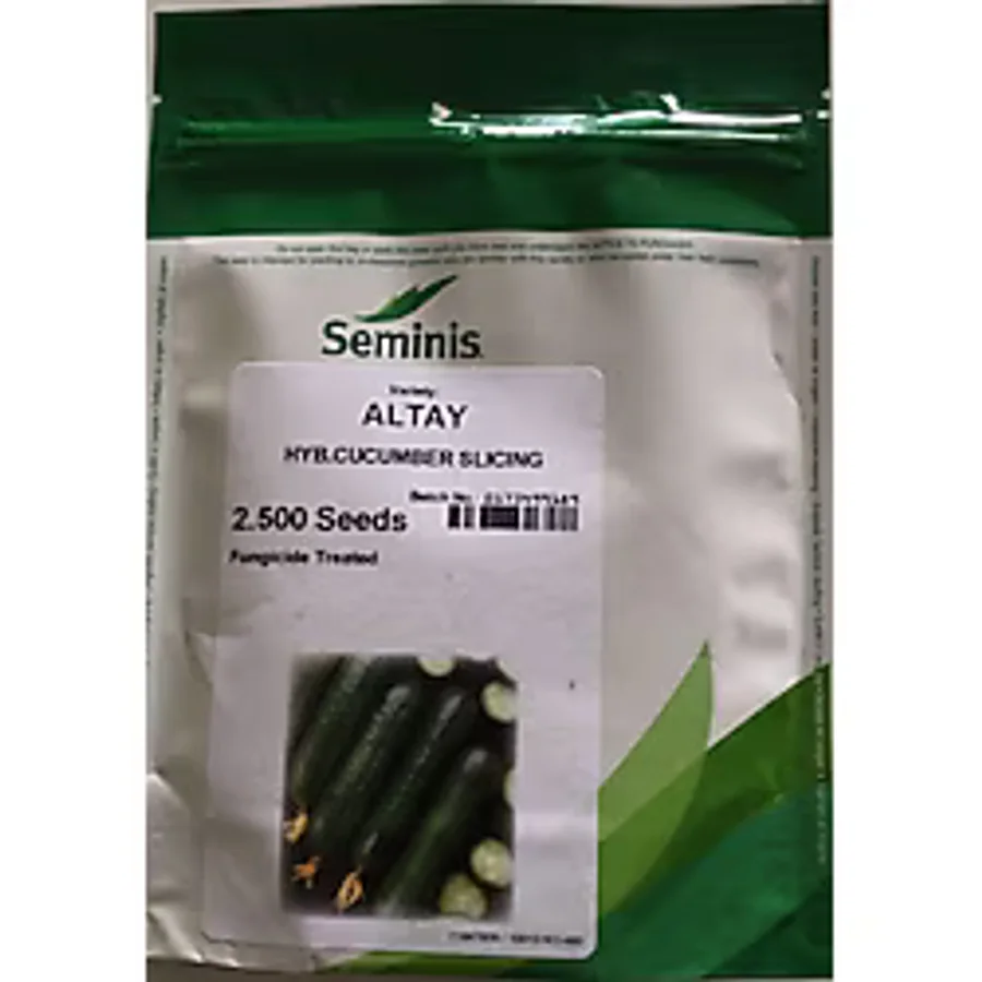 Seminis Hıyar Salatalık Tohumu Altay F1 2500 Adet Tohumluk