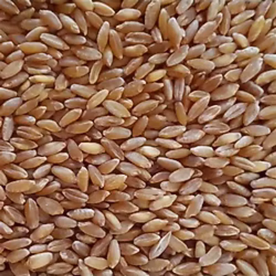 Şenler Zahire- 25 Kg Yemlik Buğday Tane Buğday Güvercin Yemi Kuş Yemi Tavuk Yemi