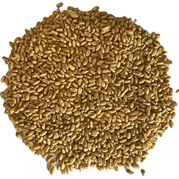 Şenler Zahire - Yemlik Buğday 15 Kg -Kuş-Tavuk-Kaz-Ördek-Güvercin Kanatlı Yemi