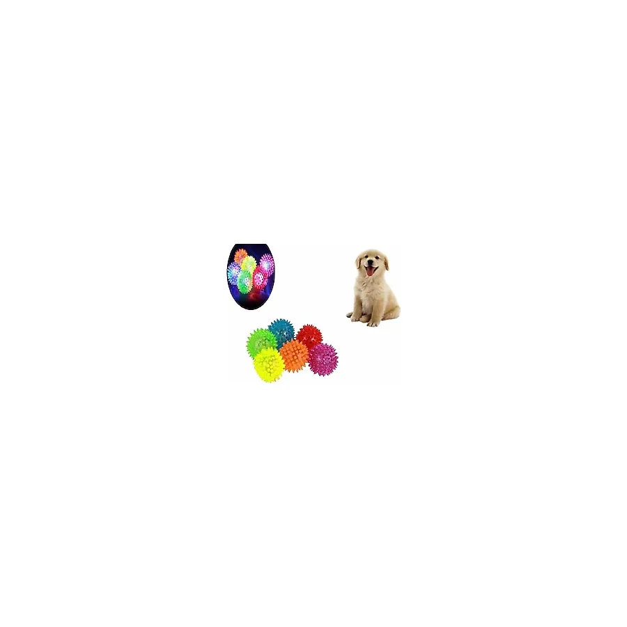 Sesli Işıklı Köpek Oyuncağı Topu Dikenli Diş Kaşıma Topu