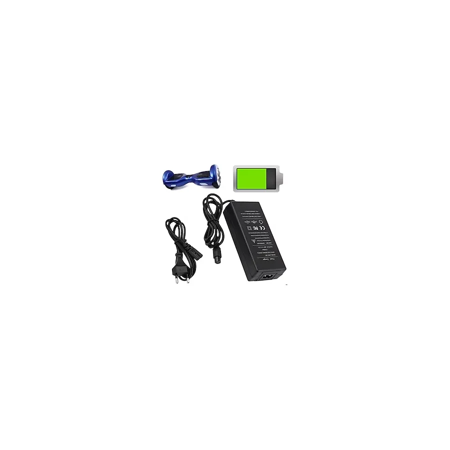 SH Tüm Modeller Ile Uyumlu Hoverboard Şarj Aleti