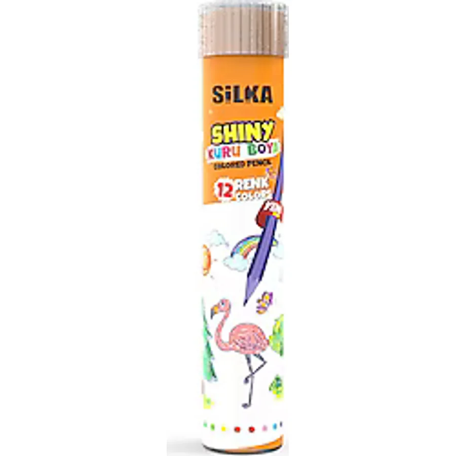 Silka Shiny Metal Tüp 12'li Kuru Boya Seti