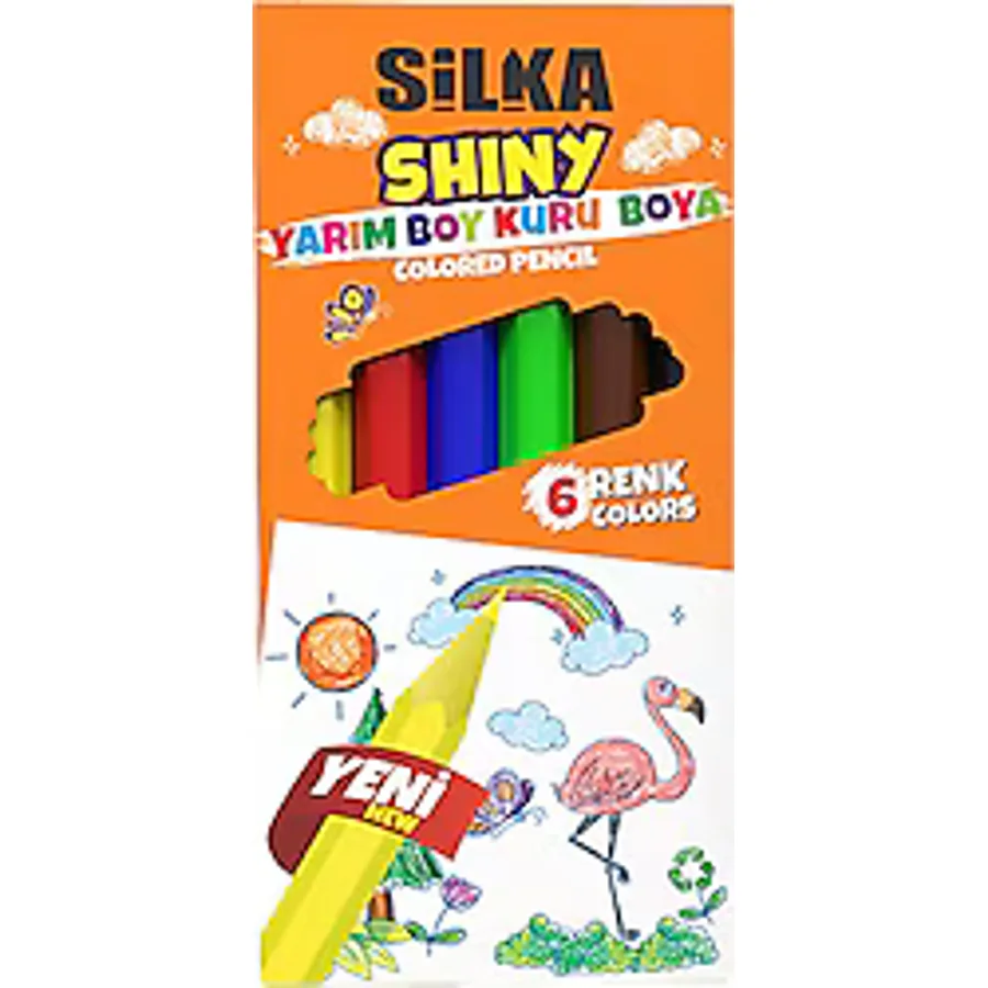 Silka Shiny Yarım Boy 6'lı Kuru Boya Seti
