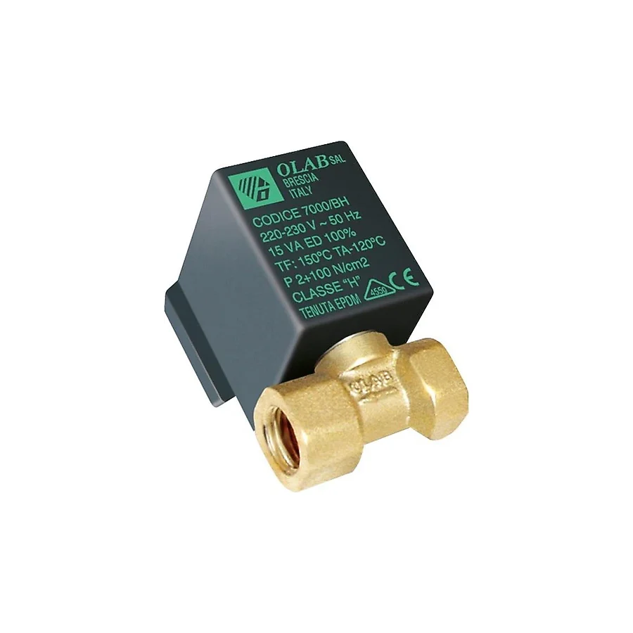 Silter TY 70006/AE 1/4 Kazanlı Ütü Solenoid Valf