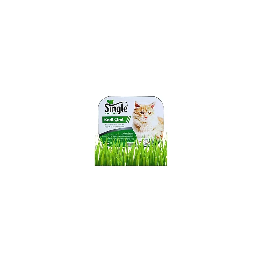 Single Natural Kedi Çimi