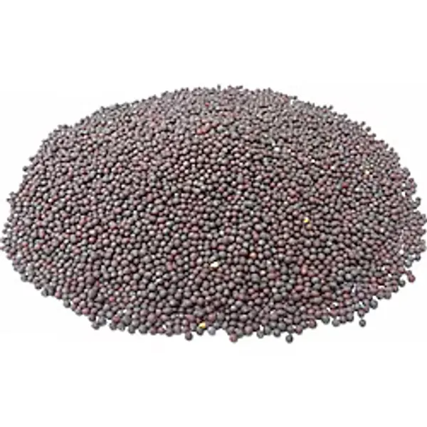 Siyah Hardal Tohumu 1 Kg 1. Kalite Ücretsiz Kargo