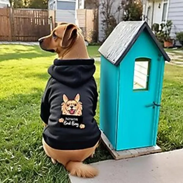 Siyah Wanted chihuahua ici polarli Köpek Kıyafeti Sweatshirt