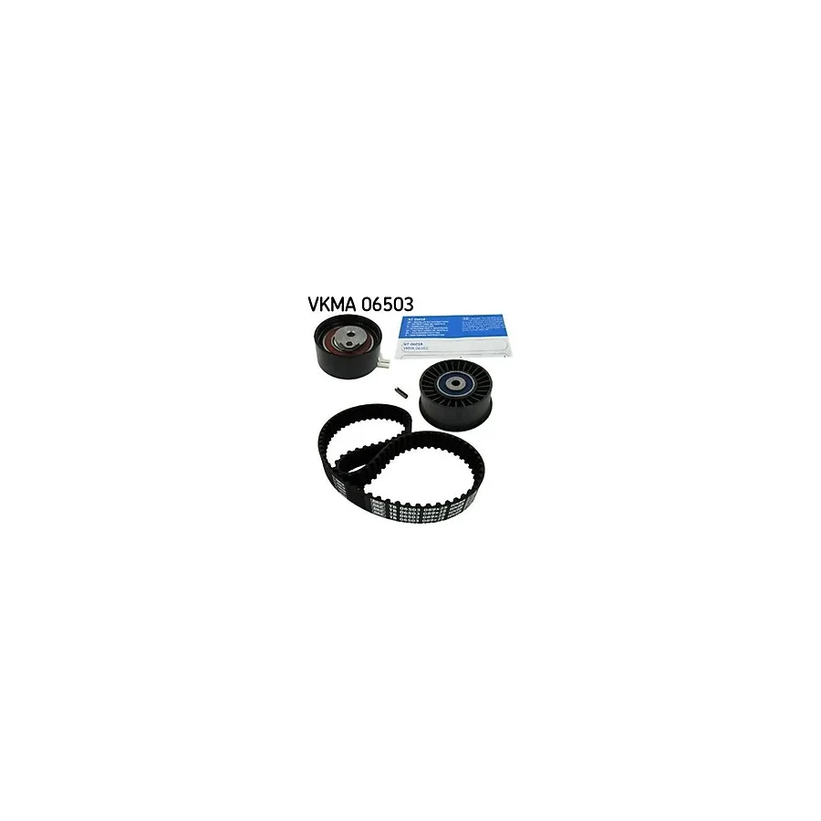 SKF VKMA06503 Triger Eksantrik Gergi Seti Laguna II Trafic II Master II / Movano A 2.5 Cdtı 2.2 Dtı