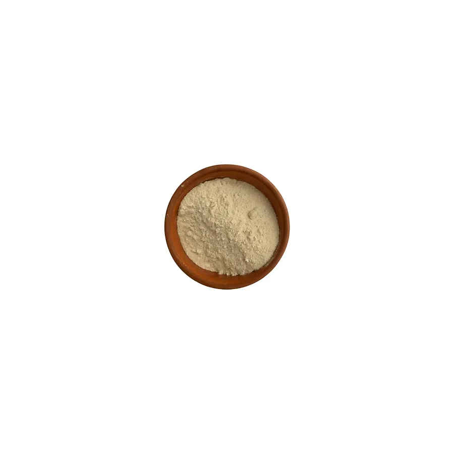 Soğan Tozu 100 Gr