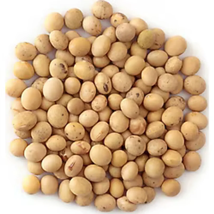 Soya Fasulyesi 2 KG