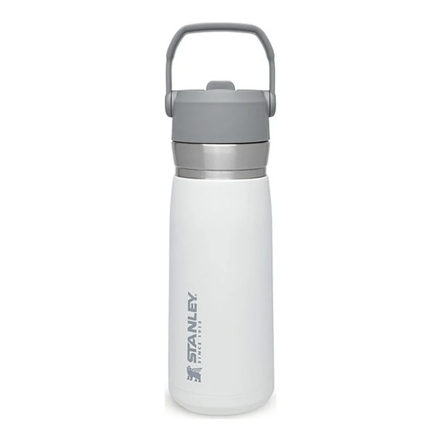 Stanley The Iceflow 0.65 lt Pipetli Soğuk Su Termosu