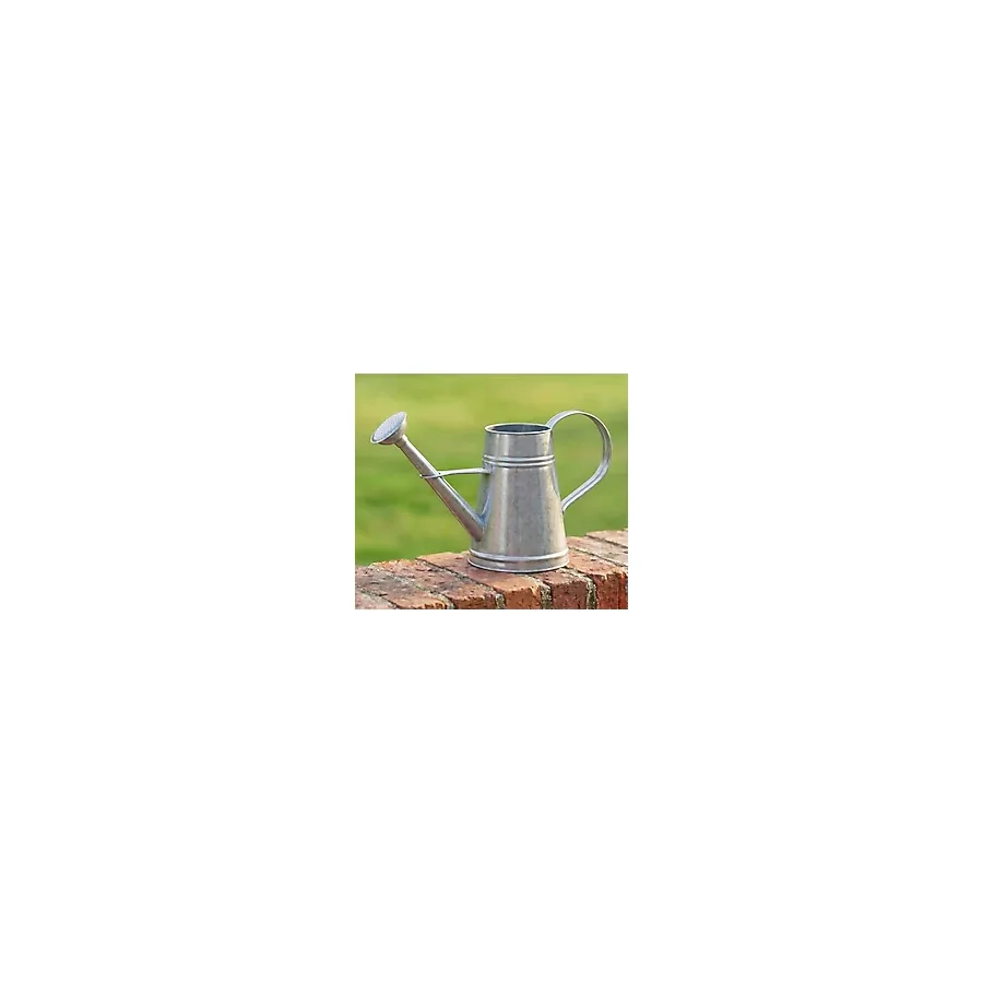 Stella 3 Litre Metal Çiçek Bahçe Sulama Kabı - Modern Dekoratif Çok Amaçlı Sulak (Galvaniz)