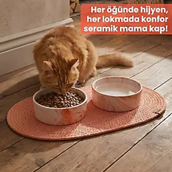Store Premium 3'lü Evcil Hayvan Mama Kabı Seti 2 Adet Lüks Mermer Desenli Seramik Kase ve 1 Adet Oval Örgü Jüt Paspas, Kedi ve Köpek Su Yemek Tabağı Seti (Turuncu) - 001-Beyaz