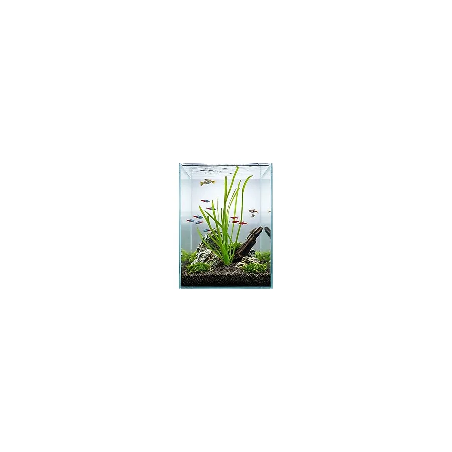 Svgpt Rotala Indica Canlı Akvaryum Bitkisi No:44