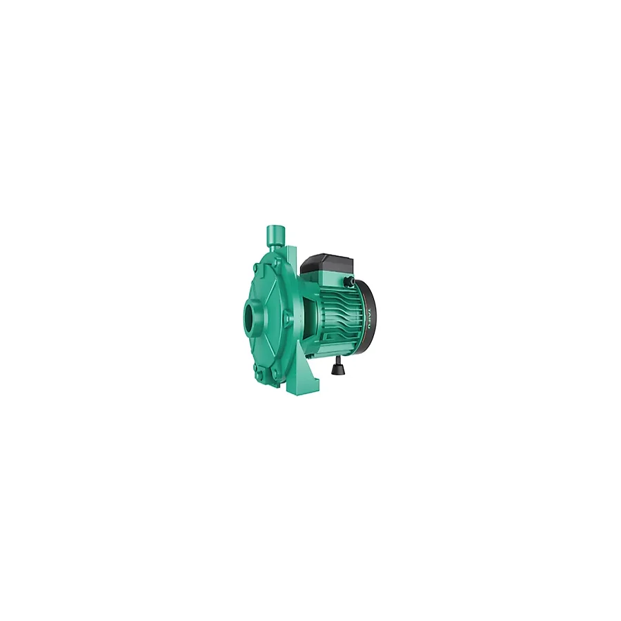 Taifu 2TCP25/140M 1,5 Hp Çift Fanlı Santrifüj Pompa