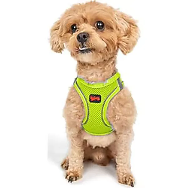 Tailpetz Air-Mesh Küçük ve Orta Irk Kedi Köpek Göğüs Tasması - Yumuşak, Nefes Alabilir, Dayanıklı (Neon-Sarı, 3XS)
