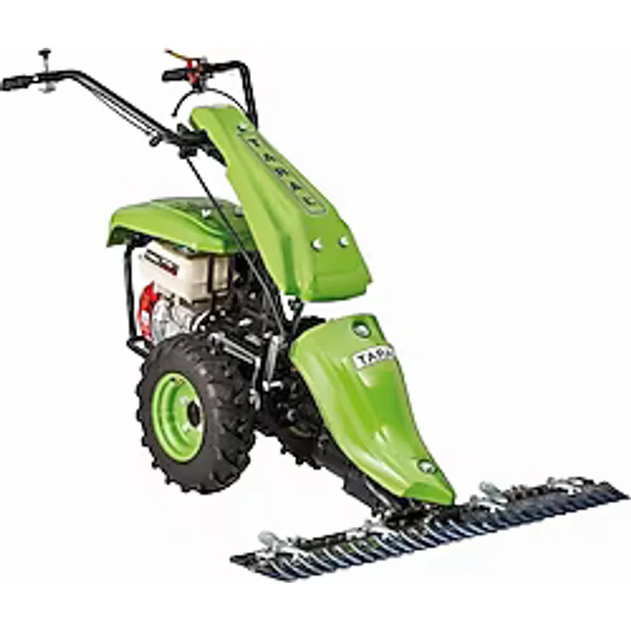 Taral 19S PMG173 4.8 HP Benzinli Ot Biçme Makinesi