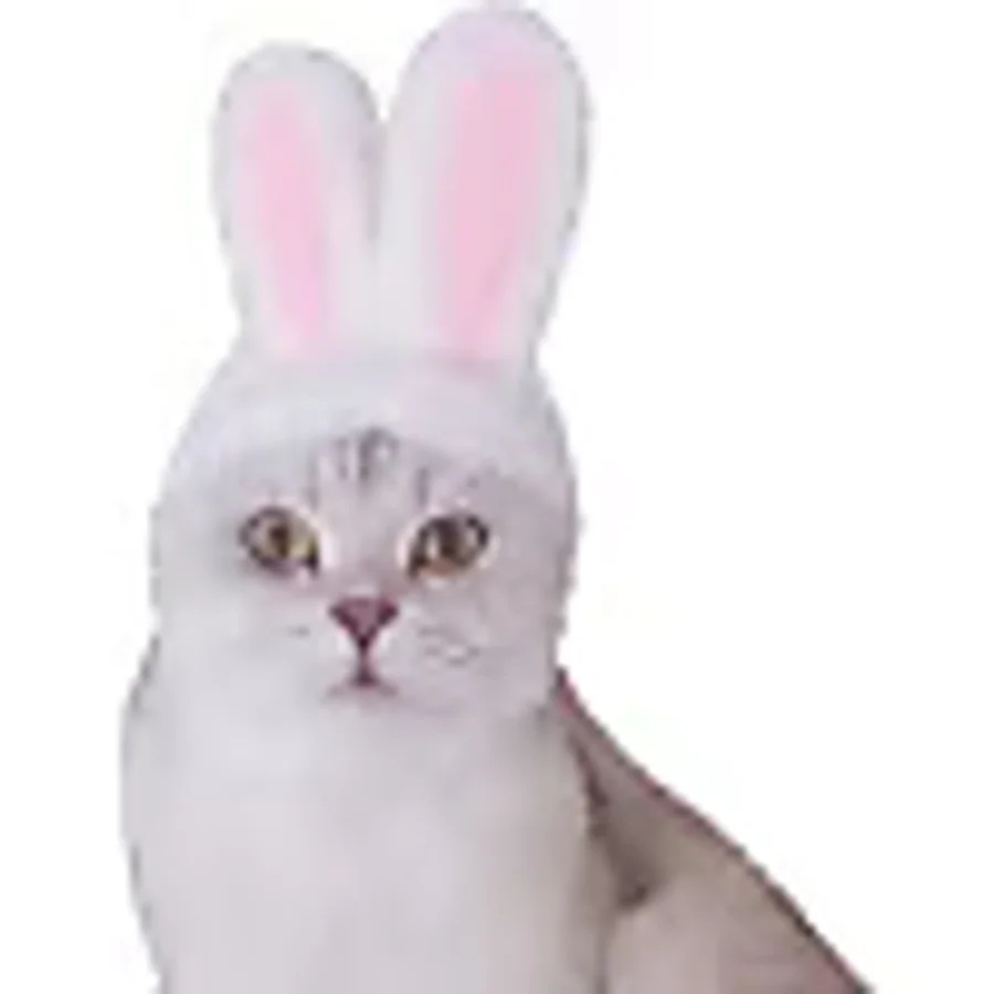 Tavşan Kulaklı Kedi Köpek Şapkası 30-34 Cm