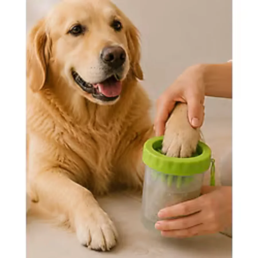 Teknodayım Köpek Ayak Yıkama - Çok Renkli