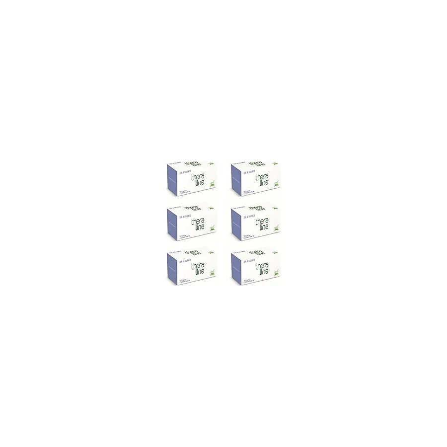 Theraline Dia & Balance Karışık Bitki Çayı (6 Kutu) 20 Adet Süzen Poşet