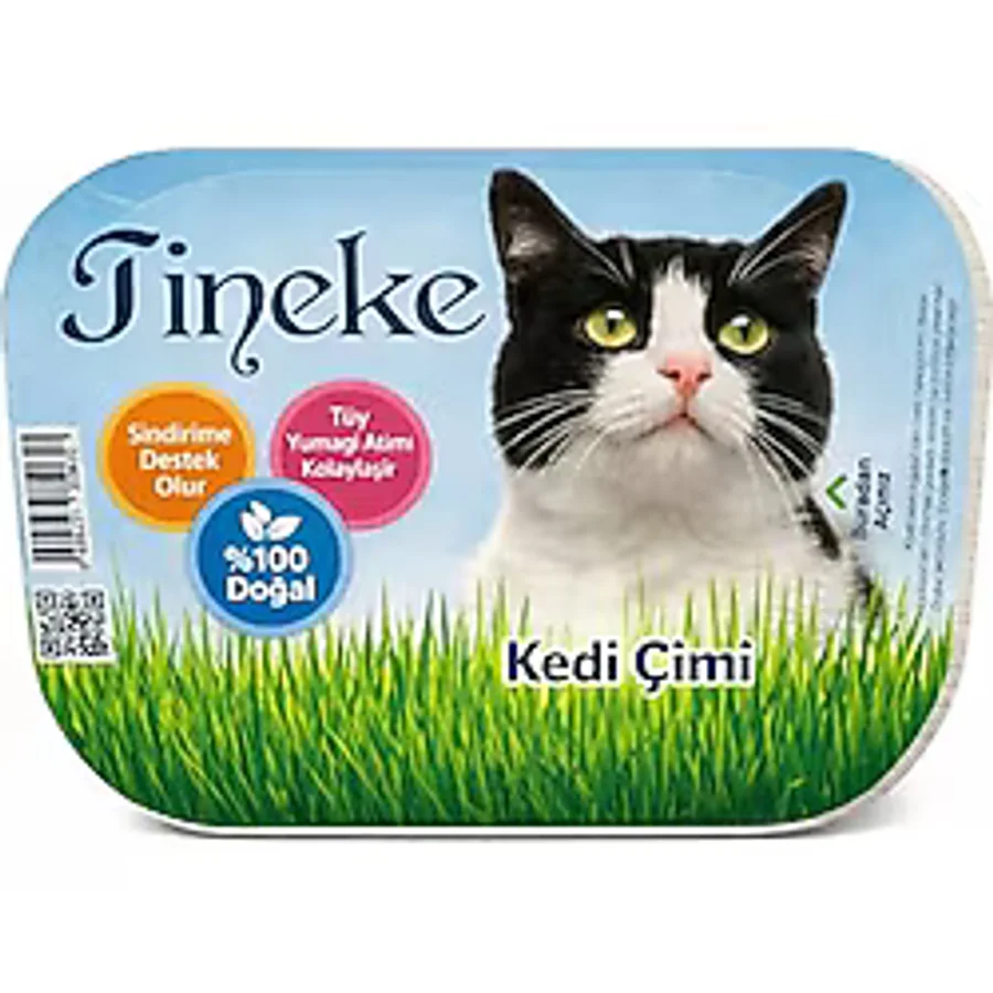 TİNEKE %100 Doğal Fileli Kedi Çimi (tüy Yumağı Önleyici)