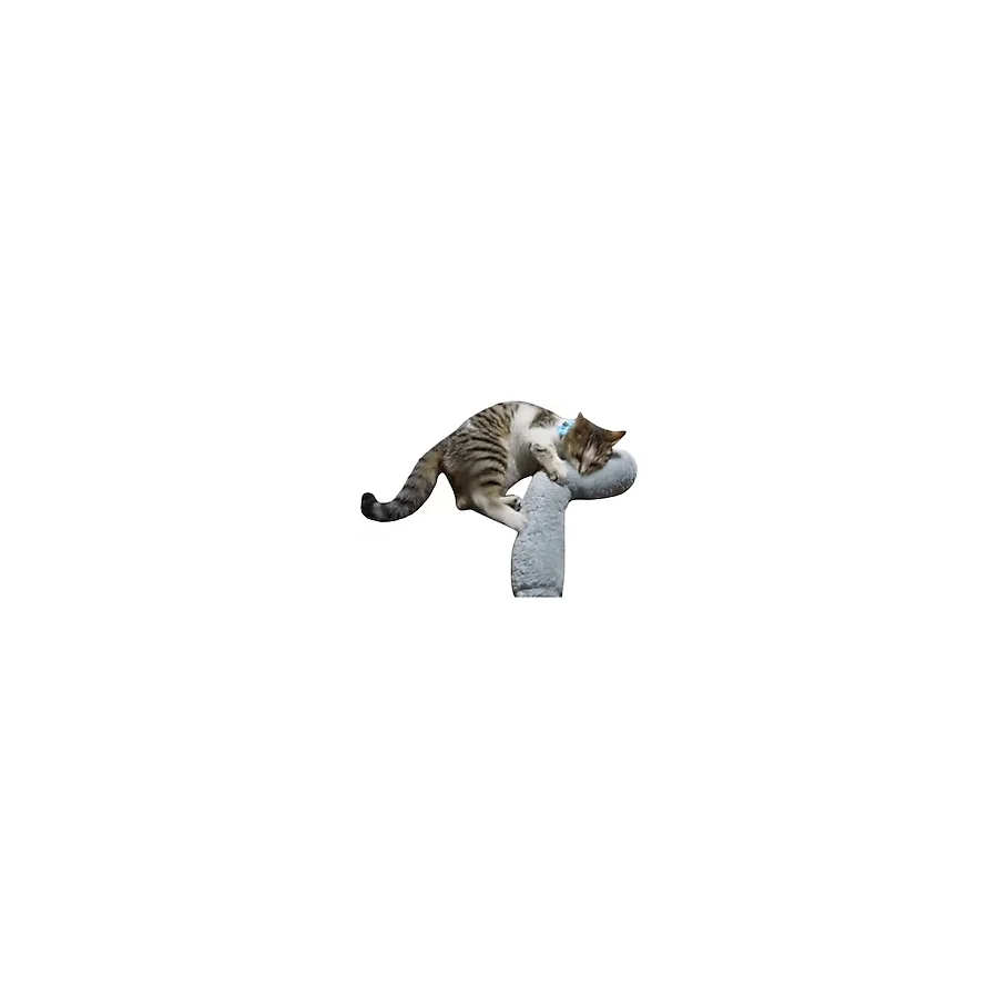 Tineke Kedi Otlu 30 cm Gri Uyku Sarılma Oyuncağı