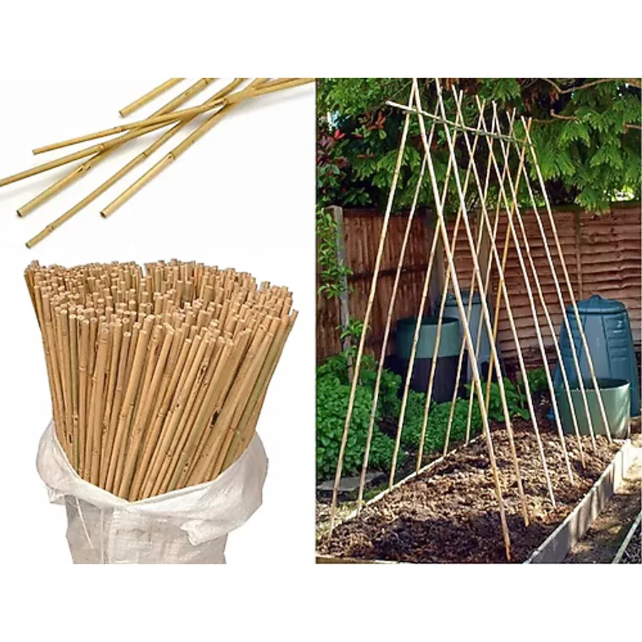 TNC Garden Groups Bitki Destek Çubuğu Bambu 75 cm 20 Adet