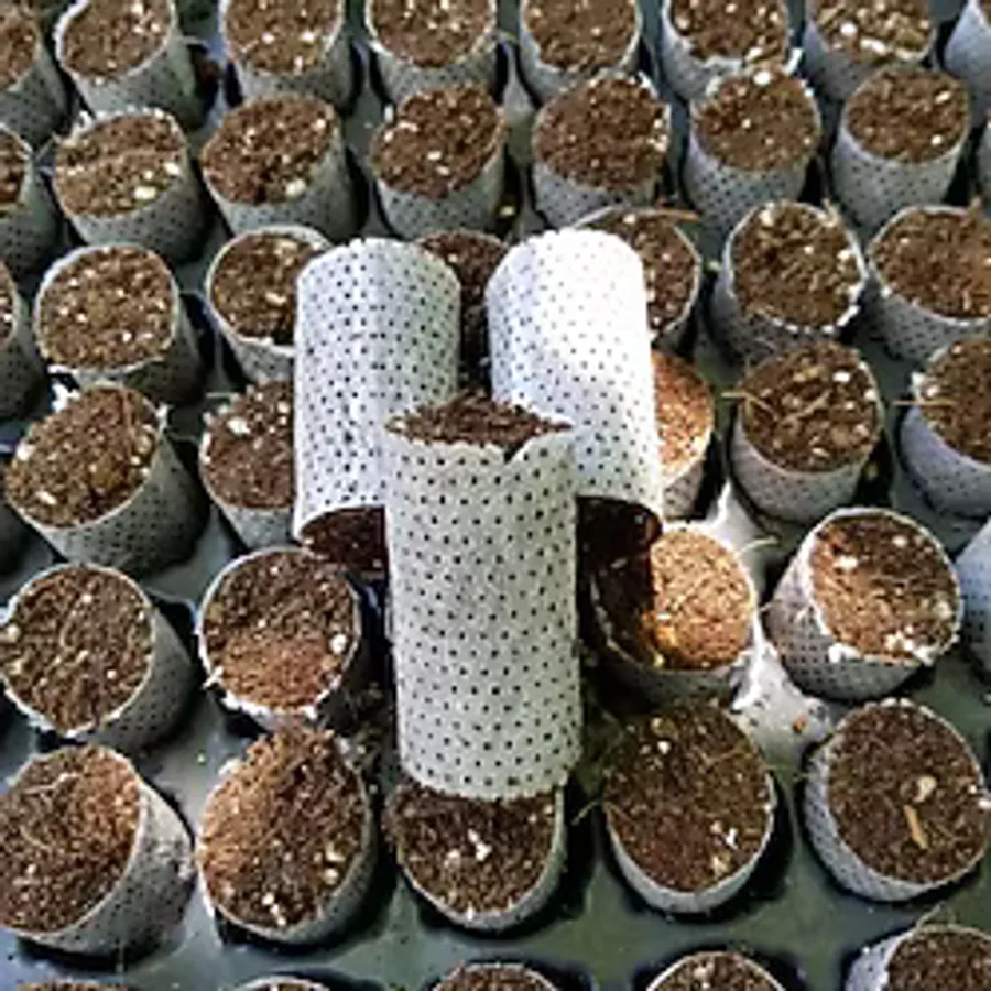 Tohum Ve Çelik Çimlendirme, Köklendirme Toprağı Paper Pot (50 Adet)
