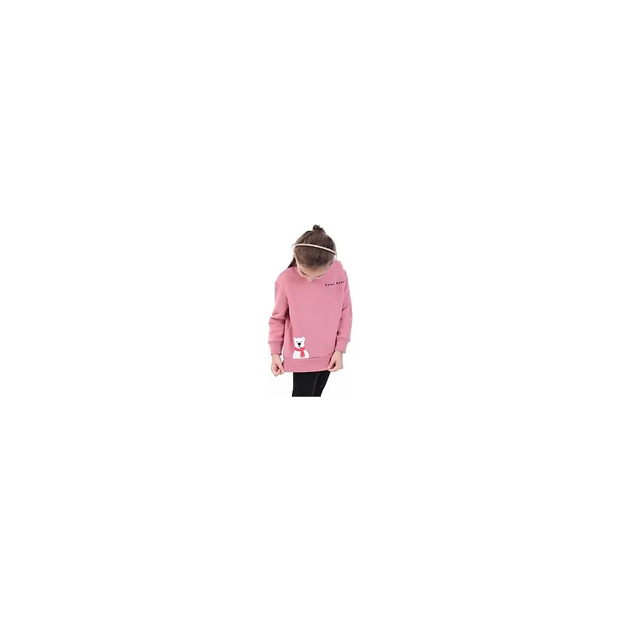 Toontoy Kız Bebek Baskılı Sweatshirt - Gül Kurusu - 3 Yaş