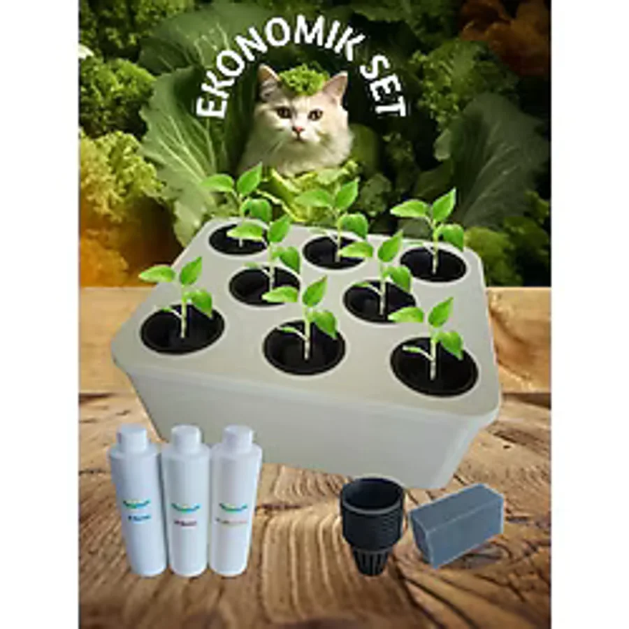 Topraksız Tarım Ekonomik Set Beyaz Hidroponik Set Suda Tarım Hobi Seti