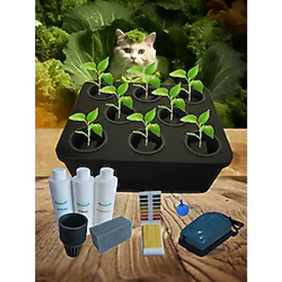 Topraksız Tarım Mini Set Siyah Hidroponik Set Suda Tarım Hobi Seti