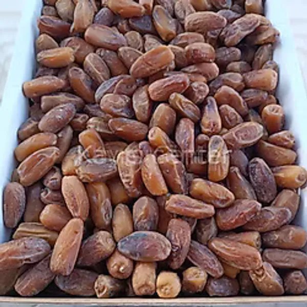 Toptan Lüks Tunus Hurma (Deglet Nour) 10 kg