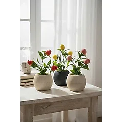 Trend KenT 3ü 1 Arada Nar Şeftali Limon Mini Saksıda Yapay Meyve Ağacı