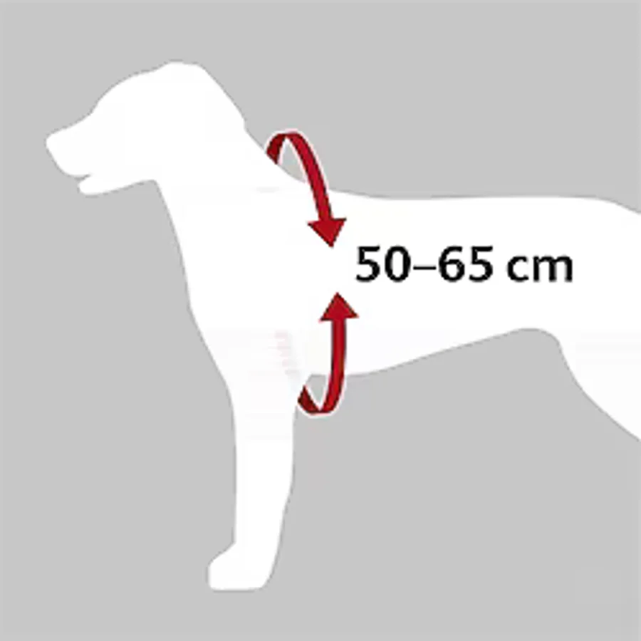 Trixie Köpek Emniyet Kemeri ve Göğüs Tasması M 50-65cm/20mm Siyah