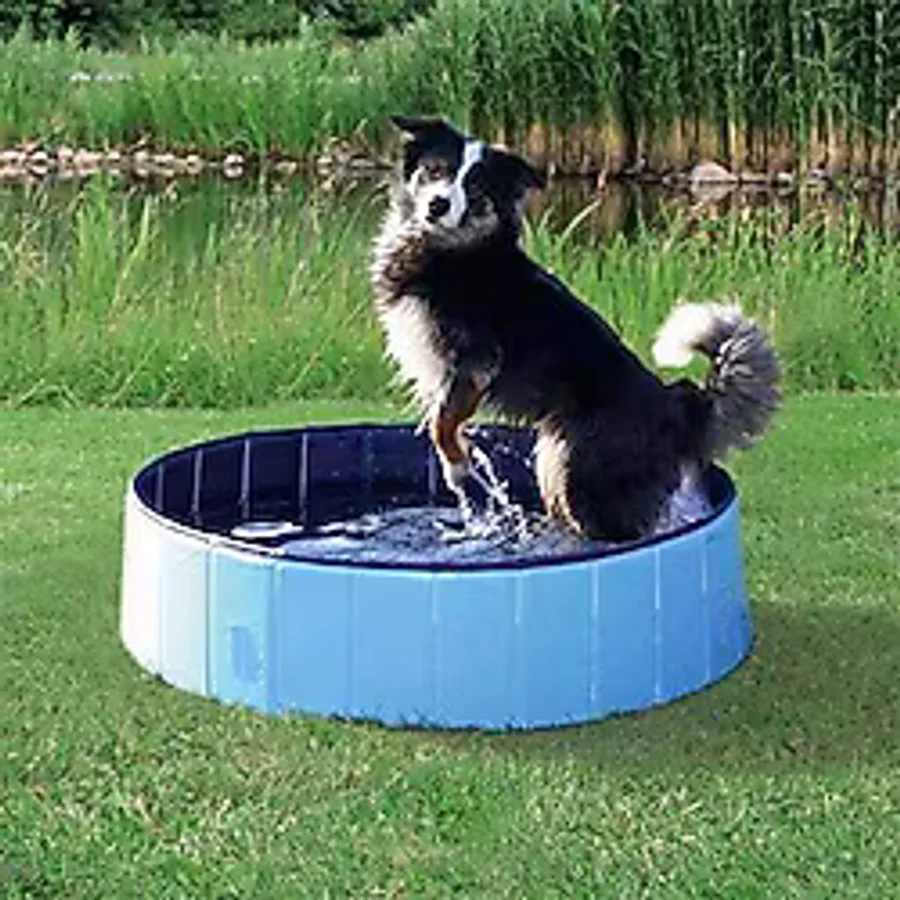 Trixie Köpek Havuzu Çap 80Cm Derinlik 20Cm