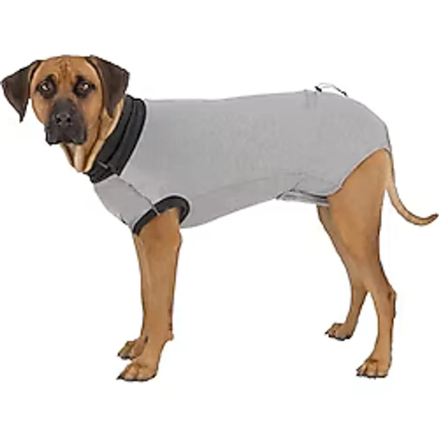 Trixie Köpekler İçin Vücut Koruyucu Elbise, XS, 25 cm, Gri