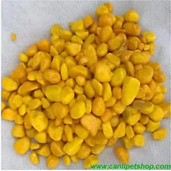 Tropikal Akvaryum Fanus Teraryum Sarı Renkli Dekor Taşları 8-10 Mm 1 Kg