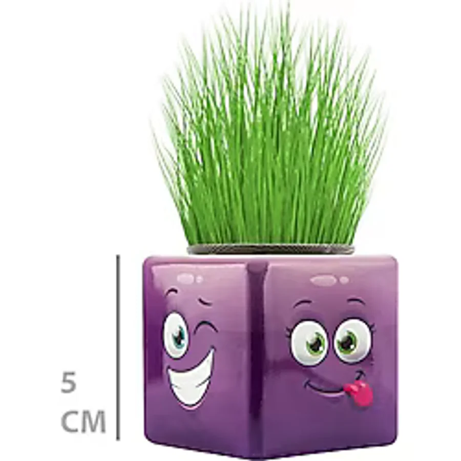 TTT Çim Adam Mini Küp Emoji Figürlü 1 Adet