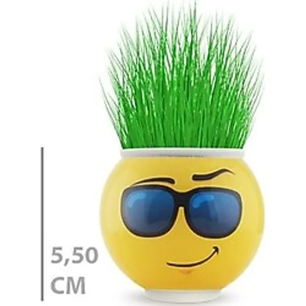TTT Çim Adam Saksı Emoji Figürlü 1 Adet