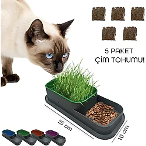 TTT Topraksız Kedi Çimi Kabı