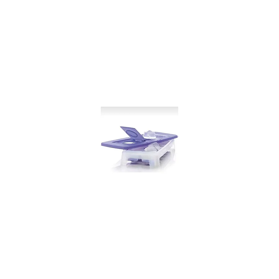 Tupperware Alaska Buz Devri Mega Buz Kalıbı
