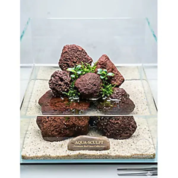 Turuncu Lava Kayası 5 Adet 5-9 Cm Akvaryum Taşı Dekor Süsü Bahçe Peyzaj Kayası