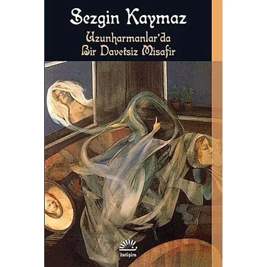 Uzunharmanlar'da Bir Davetsiz Misafir Kitap