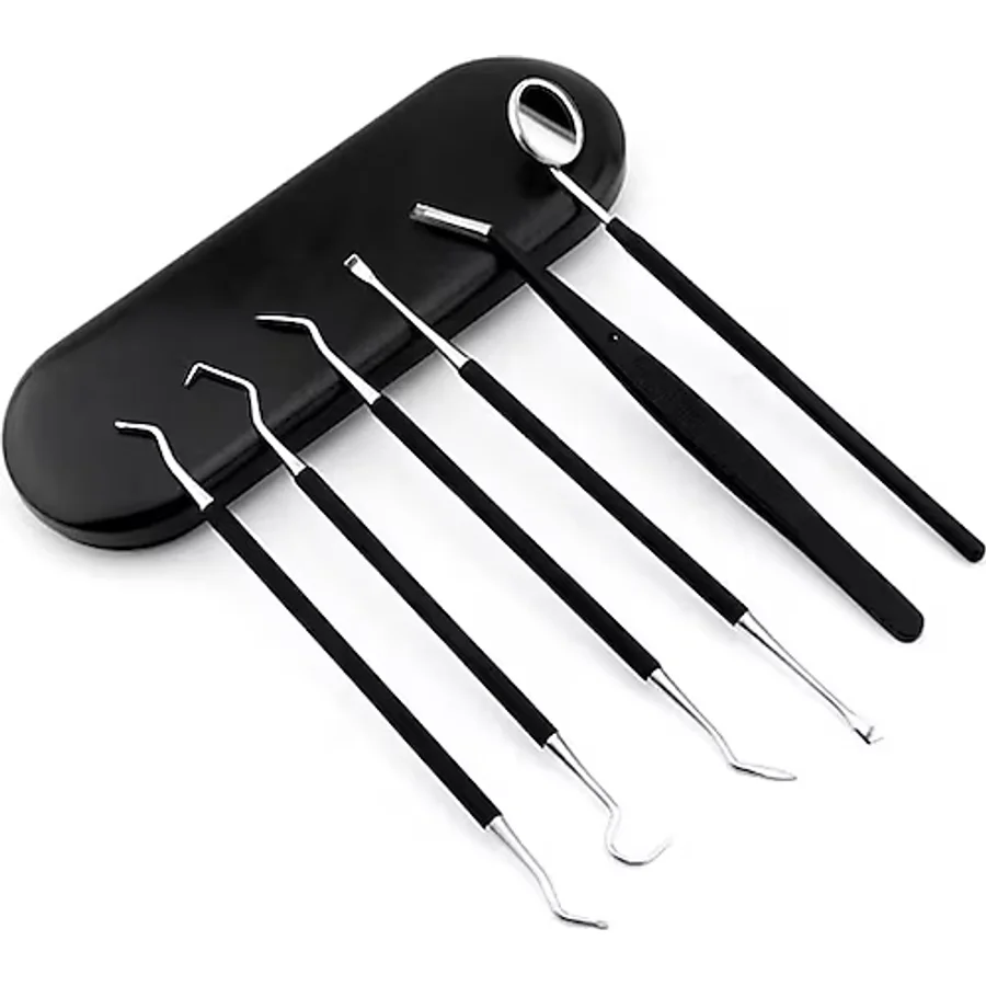 Valkyrie 6 Parca Paslanmaz Celik Metal Kutulu Dis Tartar Temizleme Dental Ağız Bakım Seti