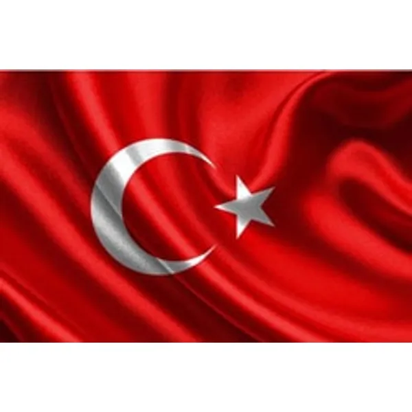 Vatan Bayrak 40x60 cm Polyester Kumaş
