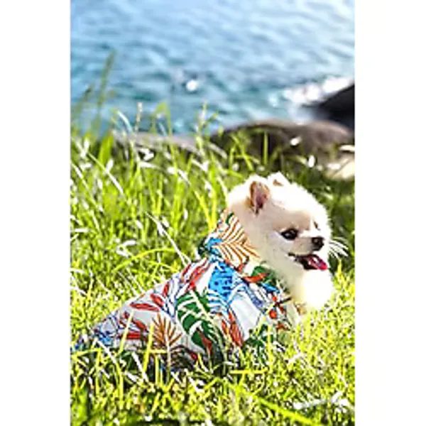Verlina Bahar Rüzgarı Montu- Rahat Köpek Kıyafeti beyaz XL