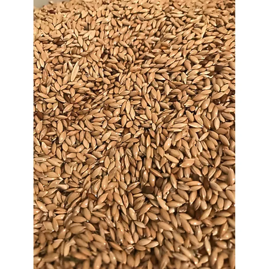 Vivid Aspur Sade Kanarya Yemi 1 KG Çuvaldan Bölme