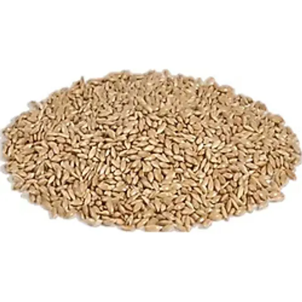 Vivid Sade Kanarya Yemi (Aspur) 1 Kg