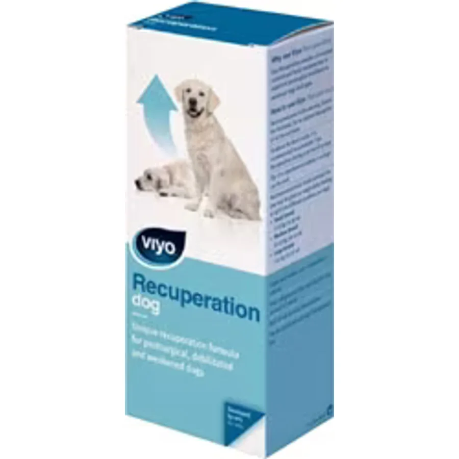 Viyo Recuperation 150 ml Köpek Ek Besin Takviyesi