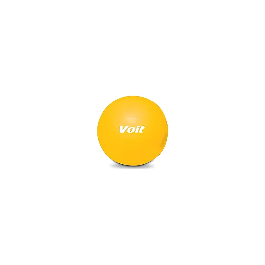 Voit Gymball 65 cm Pompalı Pilates Topu